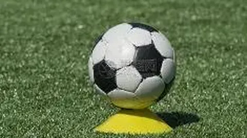 今日胖东来黄金价格查询